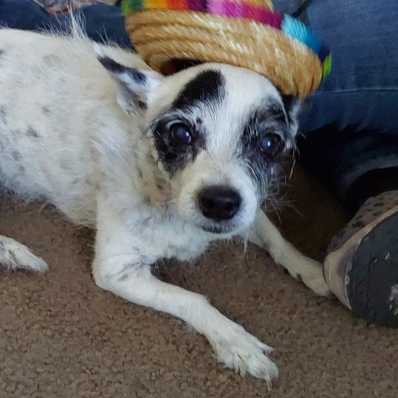 Rest In Peace - Picture 9 of 13